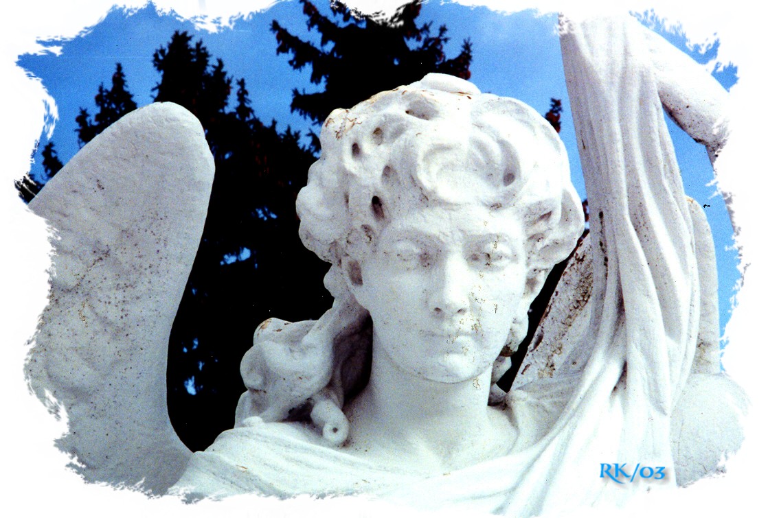 angel5.jpg