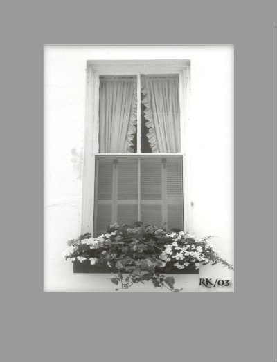 window.jpg